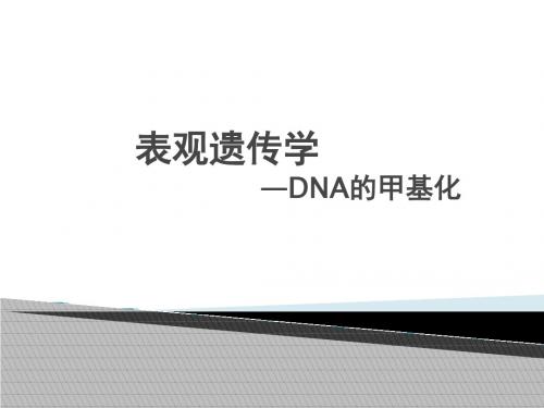 表观遗传学