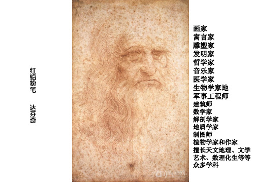 达芬奇介绍