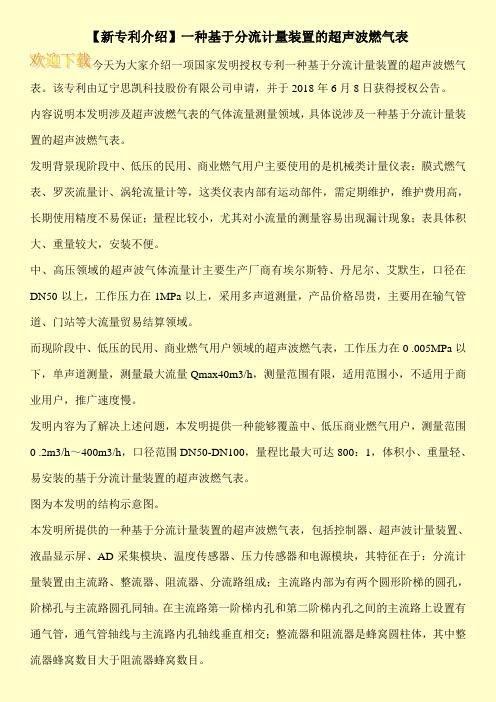 【新专利介绍】一种基于分流计量装置的超声波燃气表