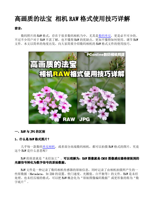 RAW格式使用技巧详解