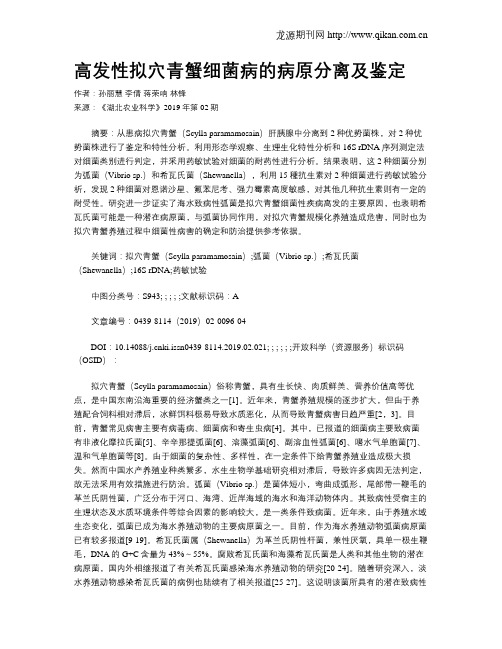 高发性拟穴青蟹细菌病的病原分离及鉴定