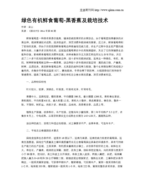绿色有机鲜食葡萄-黑香蕉及栽培技术