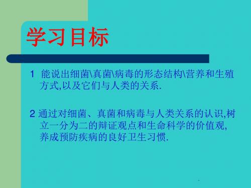 第节细菌真菌病毒课件ppt课件