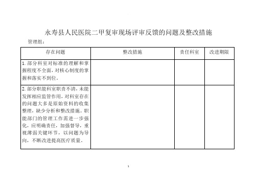 二甲评审反馈问题整改方案