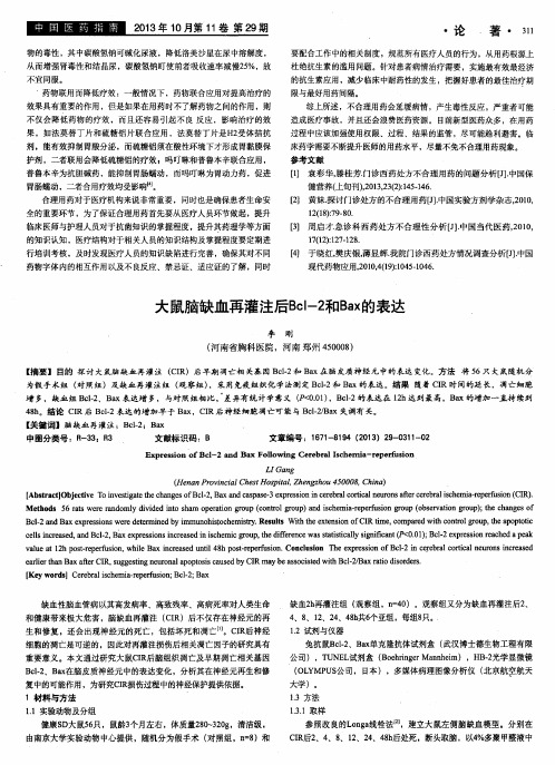 大鼠脑缺血再灌注后Bcl-2和Bax的表达
