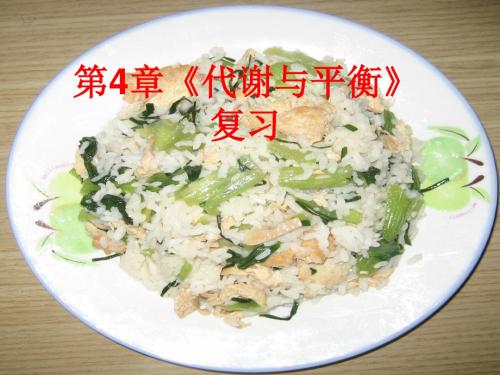 代谢与平衡复习课PPt课件讲义