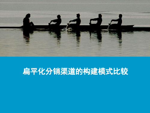 分销渠道扁平化