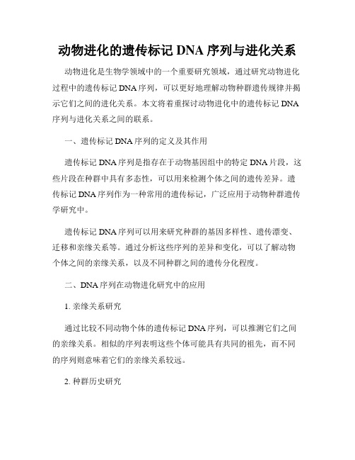 动物进化的遗传标记DNA序列与进化关系