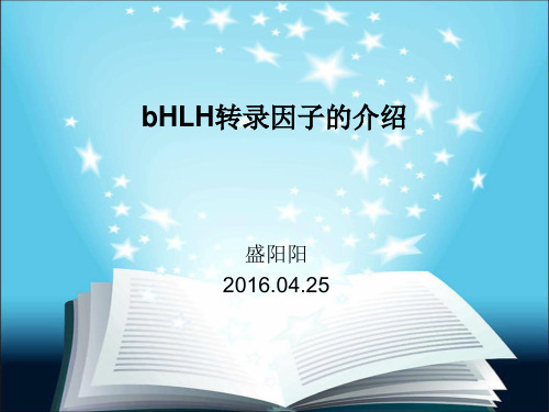 bHLH转录因子介绍(课堂PPT)