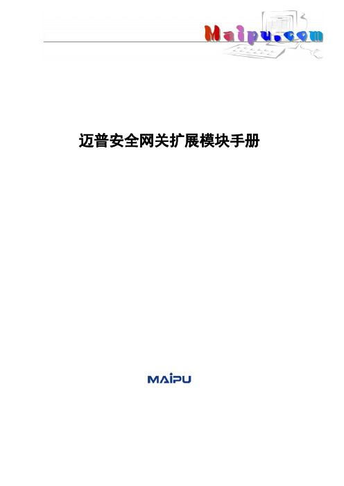 迈普安全网关扩展模块手册