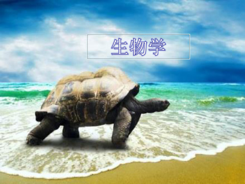 人教版初中生物七年级上册第一单元 第一章 第一节 生物的特征 课件(共30张PPT)