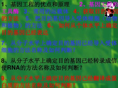 生物：1.4《蛋白质工程的崛起》课件(新人教版选修3)