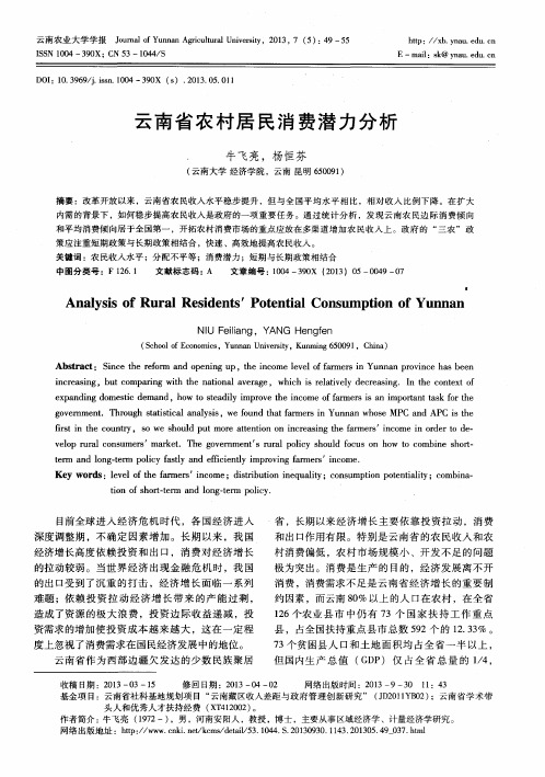 云南省农村居民消费潜力分析