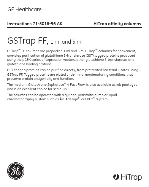 GST 柱纯化  GSTrap FF