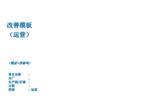 精益项目报告模板