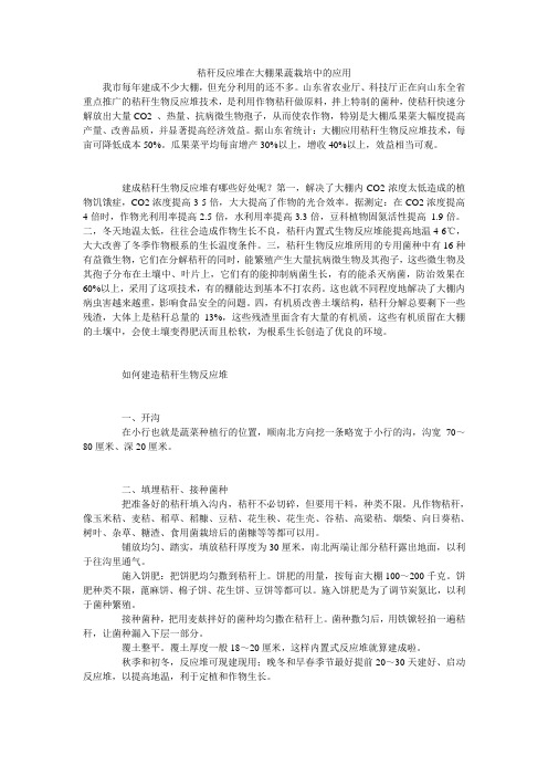 秸秆反应堆在大棚果蔬栽培中的应用