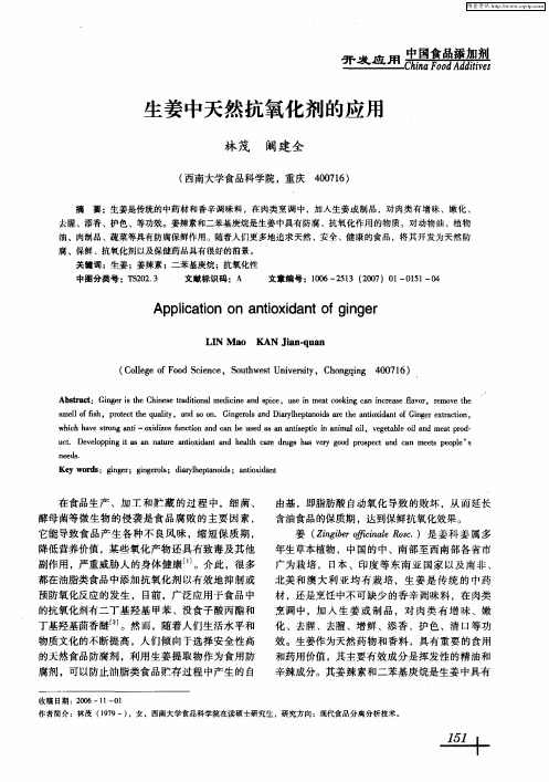 生姜中天然抗氧化剂的应用
