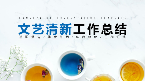文艺清新工作总结通用模板