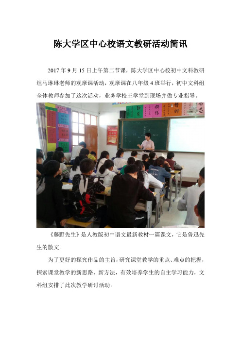 陈大学区中心学校马琳琳教研活动简讯