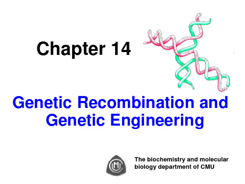 gene engineering