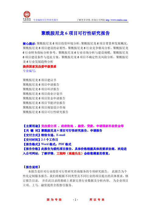 聚酰胺尼龙6项目可行性研究报告