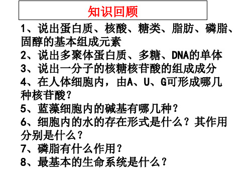 细胞膜—系统的边界优质课件PPTPPT课件