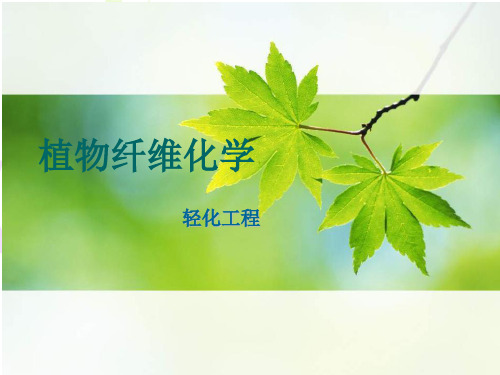 叙述纤维素的分子结构特征