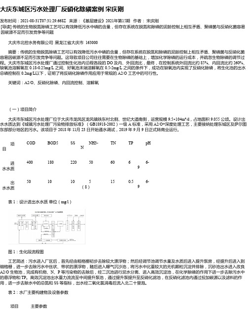 大庆东城区污水处理厂反硝化除磷案例宋庆刚