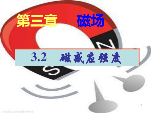 磁感应强度图文精品PPT