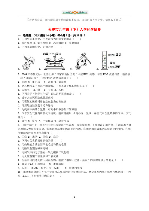 九年级化学下册入学试题(含解析)新人教版.doc