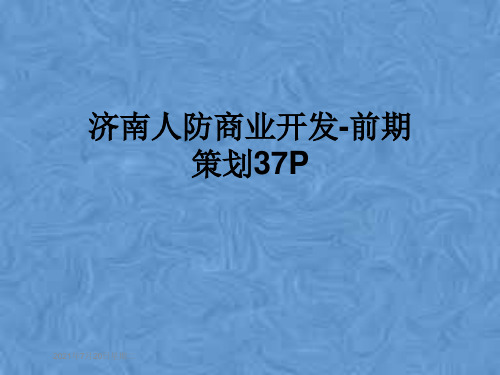 济南人防商业开发-前期策划37P