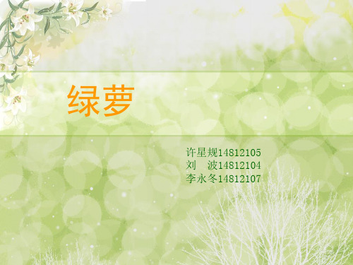 绿萝介绍