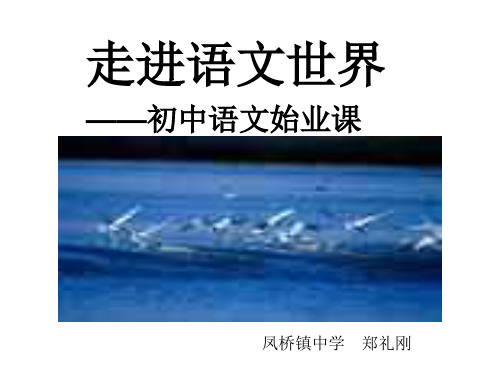 始业教育(教学课件201911)