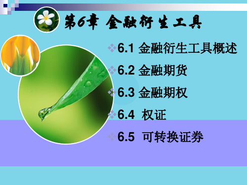 证券投资学 第6章 金融衍生工具