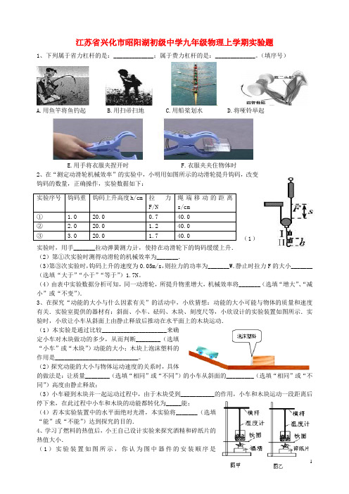 江苏省兴化市昭阳湖初级中学九年级物理上学期实验题(