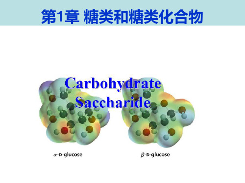 高级生物化学第1章 糖类化合物