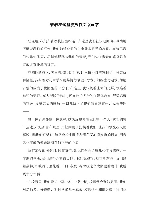 青春在这里绽放作文800字