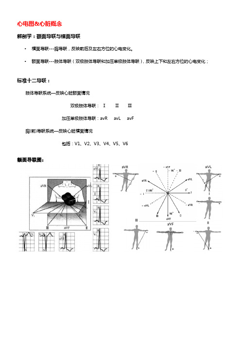 心电图额面导联及横面导联