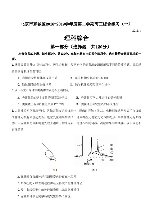 北京市东城区2018学年度第二学期高三综合练习(一)理综生物试题(含答案)