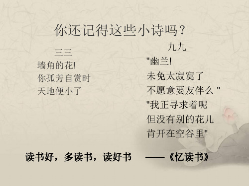 语文版语文九年级下冰心《笑》ppt课件