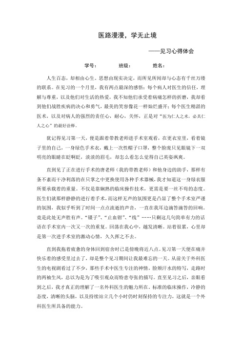 医路漫漫,学无止境-见习心得体会 - 范文