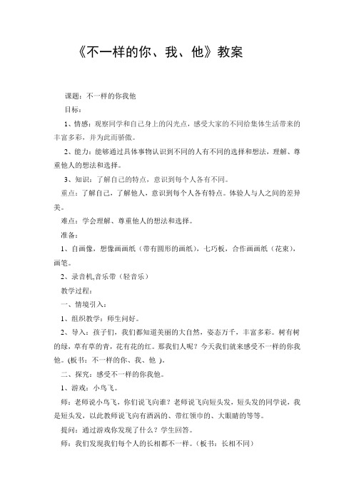 不一样的你我他教案