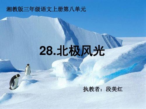 段美红28.北极风光