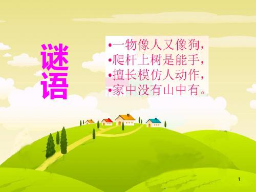2019春最新苏教版二年级语文下册：第8课《猴子种果树》ppt公开课课件