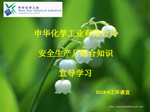 安全生产月综合知识宣导-PPT课件