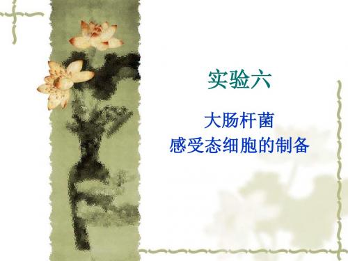 实验六  大肠杆菌感受态细胞的制备