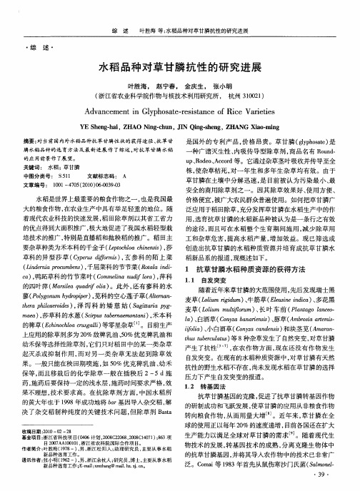 水稻品种对草甘膦抗性的研究进展