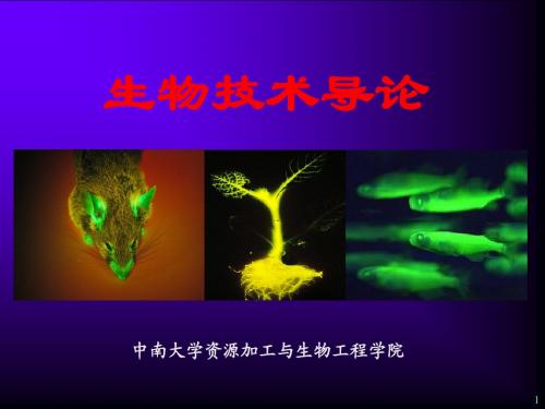 废物资源化