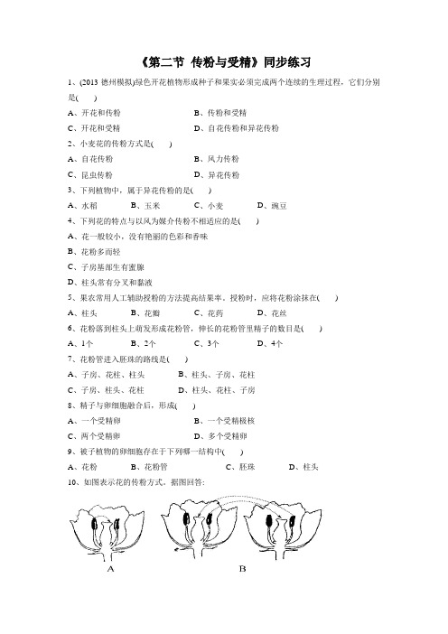 初中生物 《第二节 传粉与受精》同步练习1