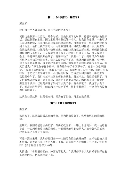 关于掰玉米的作文400